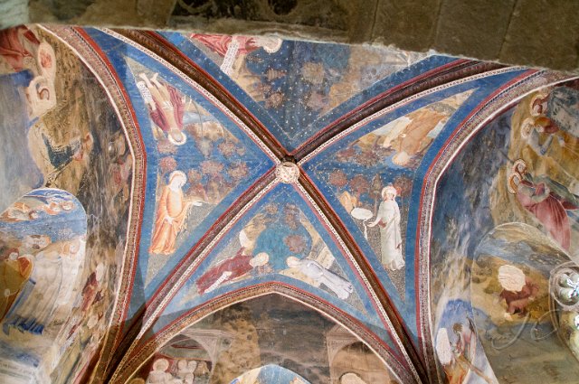 0029 Avignon.jpg - SONY DSC